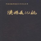 陕县文化志 PDF下载