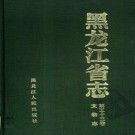 黑龙江省志·文物志.pdf下载