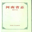 河南省志·文物志pdf下载