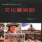 阿坝藏族羌族自治州文化艺术志pdf下载