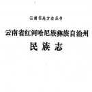 红河哈尼族彝族自治州民族志pdf下载