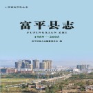 富平县志（1989-2005）PDF下载