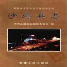 沙湾县志（1999版）PDF下载