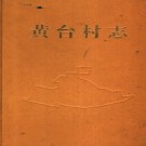 济南市天桥区黄台村志（1995版）PDF下载