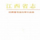 江西省石油化学工业志.pdf下载