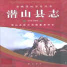 潜山县志（1978-2002）PDF下载