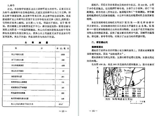 九台县文物志