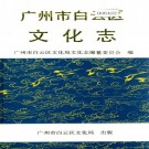 广州市白云区文化志 PDF下载