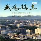 武鸣县志 PDF电子版下载
