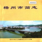 梧州市简志 PDF下载