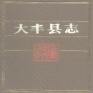 大丰县志.pdf下载