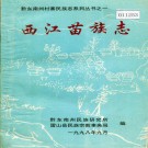 西江苗族志 PDF下载