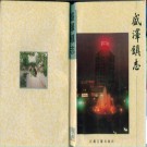 盛泽镇志.pdf下载