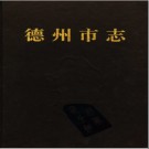 德州市志.pdf下载