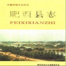 肥西县志.pdf下载