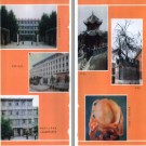 新野县志pdf下载