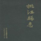 桃江县志 PDF下载