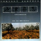延津县志pdf下载