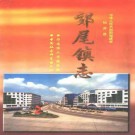 郊尾镇志pdf下载