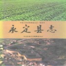 永定县志 PDF下载