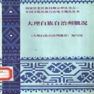 大理白族自治州概况pdf下载