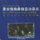 景谷傣族彝族自治县志pdf下载