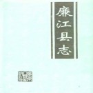 廉江县志pdf下载