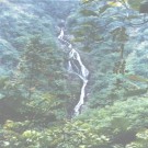 陆川县志pdf下载