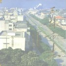 玉林市志pdf下载