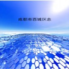 成都市西城区志pdf下载