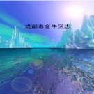 成都市金牛区志pdf下载