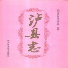 泸县志（1993版）pdf下载