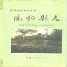 凤翔县志pdf下载