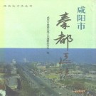 咸阳市秦都区志pdf下载