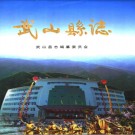 武山县志pdf下载