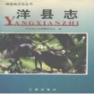 洋县志pdf下载