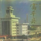 富平县志pdf下载
