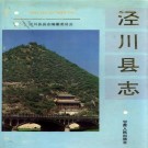泾川县志 PDF下载