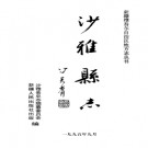 沙雅县志pdf下载