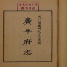 重修广平府志 全63卷.pdf下载