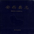 安西县志PDF下载
