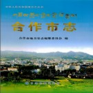 合作市志PDF下载