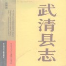 武清县志.pdf下载