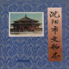 沈阳市文物志pdf下载