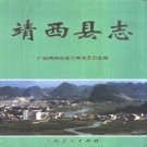 靖西县志（2000版）PDF下载