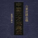 乾隆曲阜县志 100卷 乾隆39年刊本 PDF下载