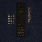 康熙阳谷县志 光绪阳谷县志 光绪寿张县志 PDF下载
