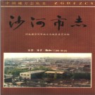 沙河市志.pdf下载