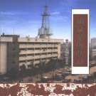 新泰市邮电志 2002版 PDF下载