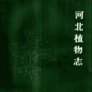 河北植物志（1986-1991）第1-3卷合订本 PDF下载